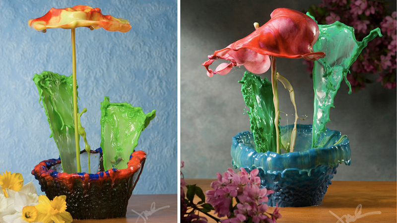 Illustration for article titled You Won't Believe These Stunning Splashed Paint Flowers Were Created Without Photoshop